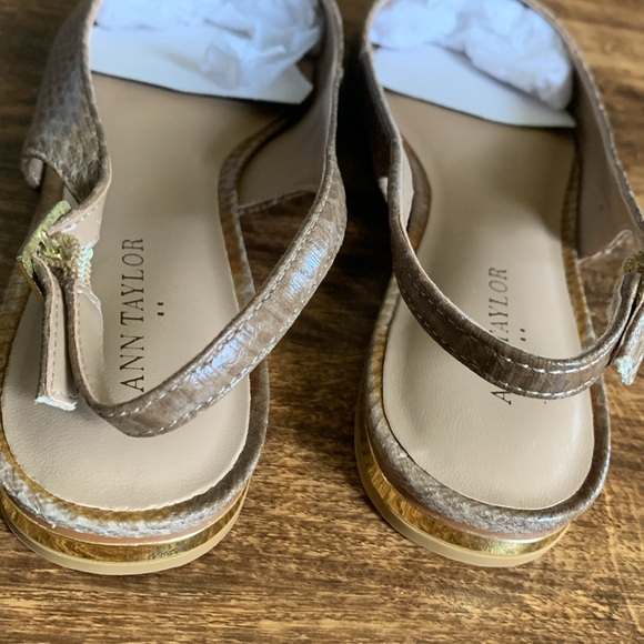 ANN TAYLOR GIANA SLINGBACK FLATS - Picture 5 of 7